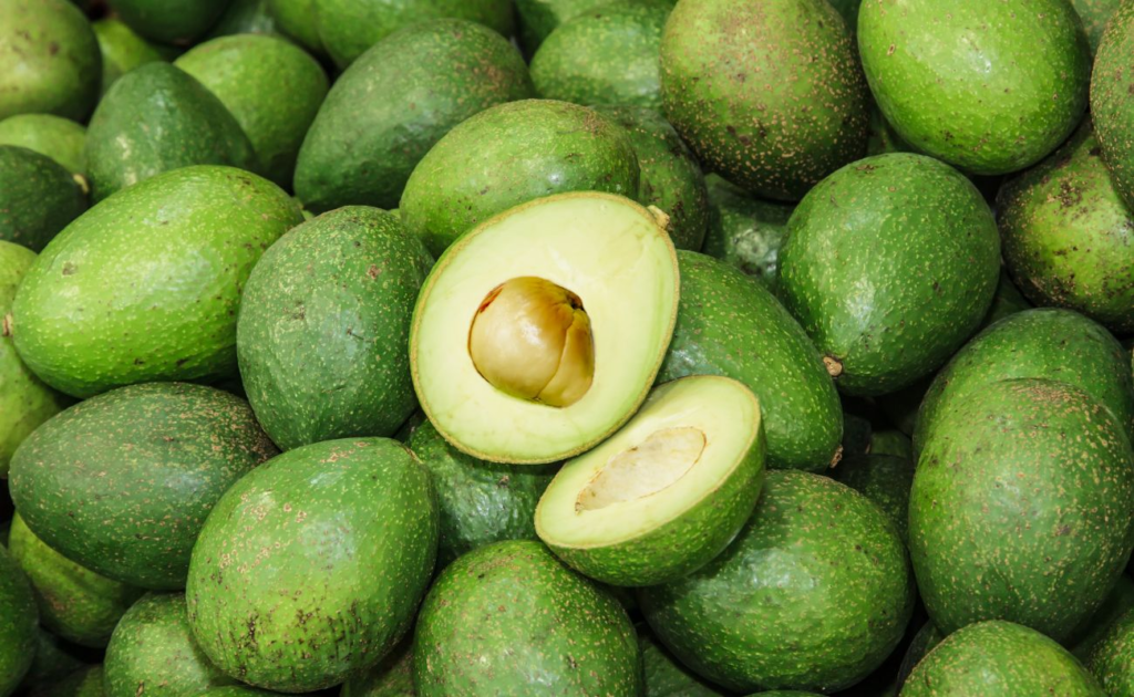 Avocado