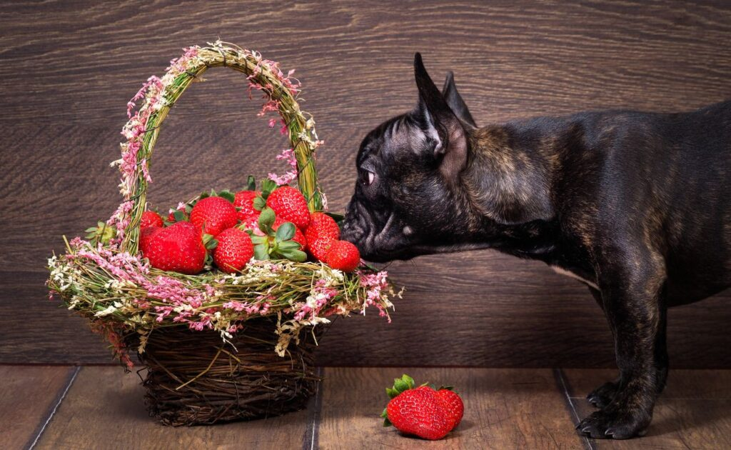 The Sweet Benefits of Strawberries