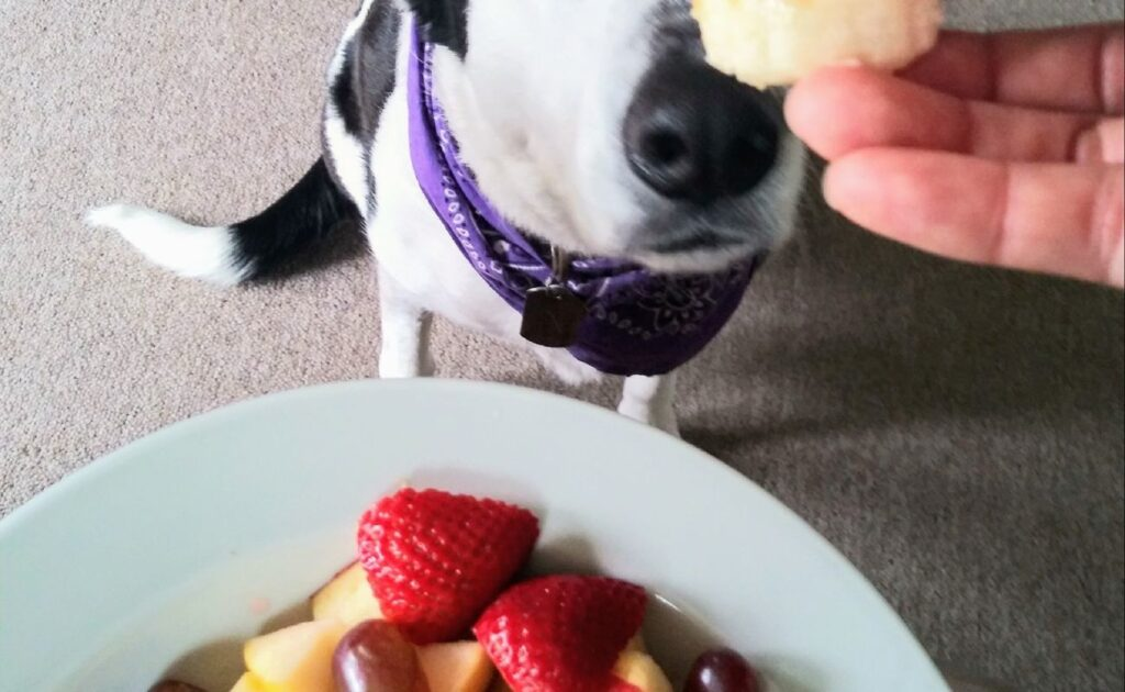 How to Safely Serve Strawberries to Your Dog