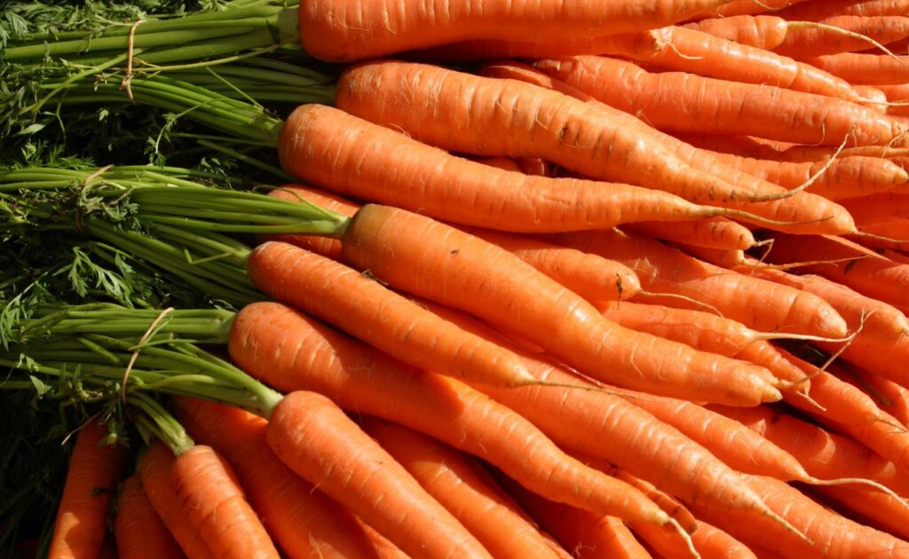 Carrots