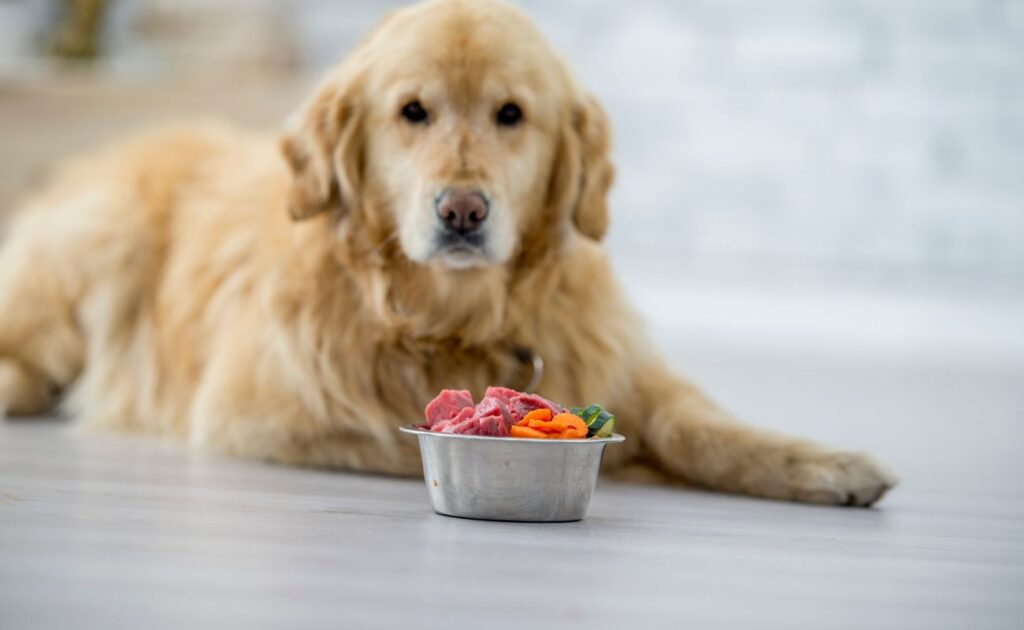How should I prepare vegetables for my dog?
