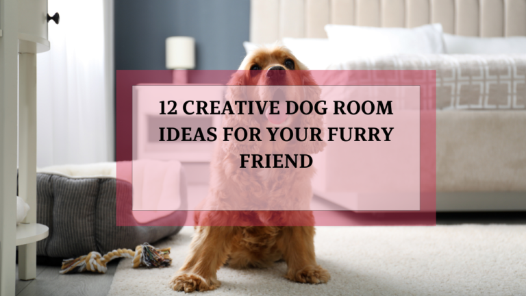 12 Creative Dog Room Ideas for Your Furry Friend