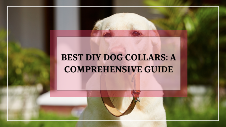 DIY Dog Collars