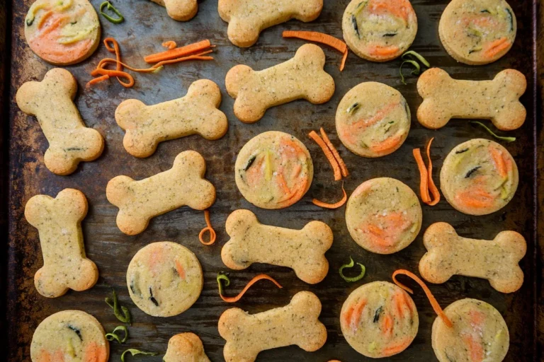 Carrot & Zucchini Munchies: A Crunchy Veggie Treat for Your Furry Friend