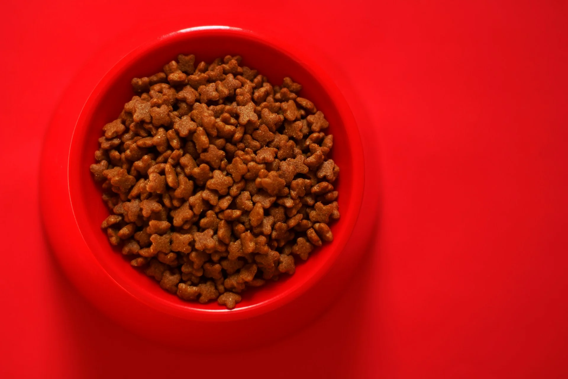 Is Royal Canin Dog Food Actually That Good?