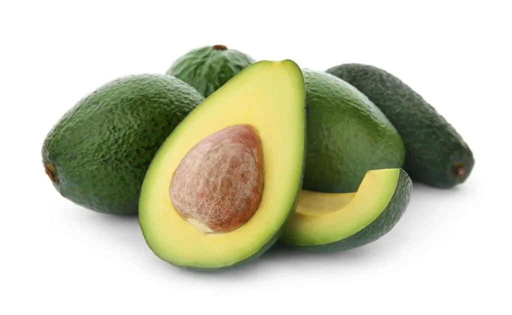  Avocado