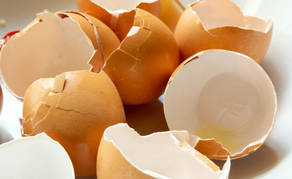Egg Shells: Crunchy but Beneficial?