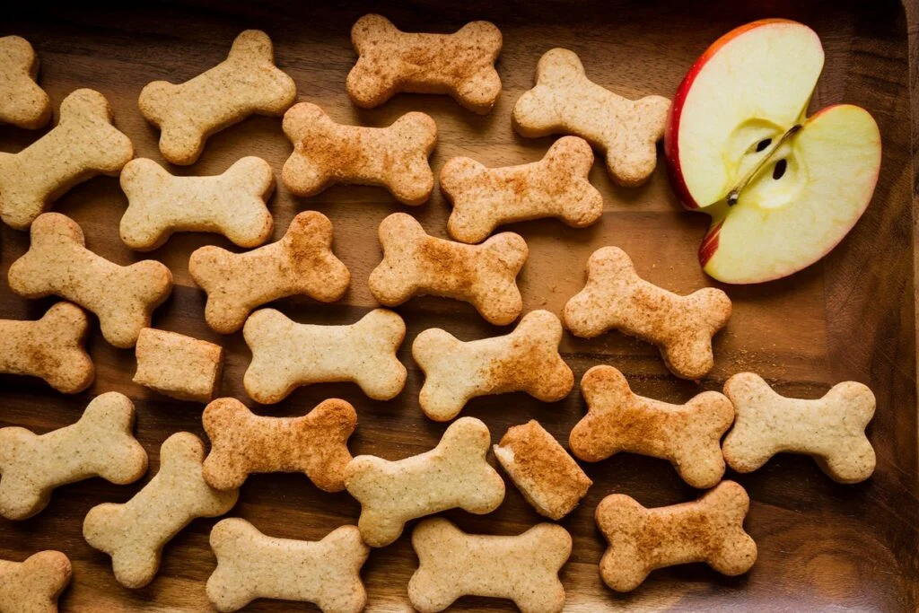 Why These Ingredients Are Great for Dogs
