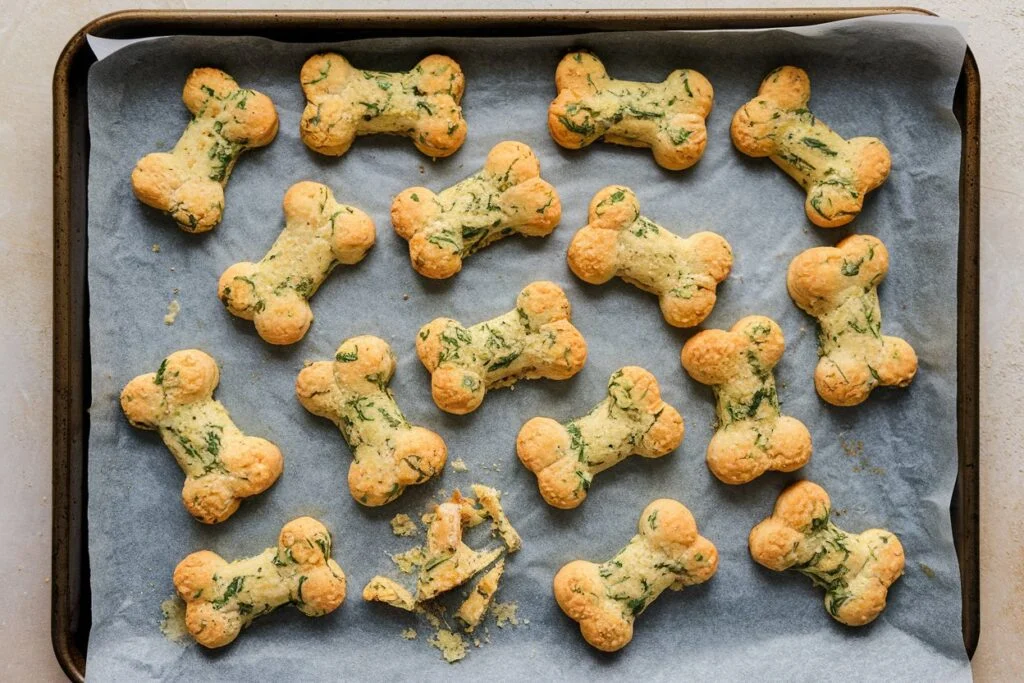 Chicken & Spinach Biscuits