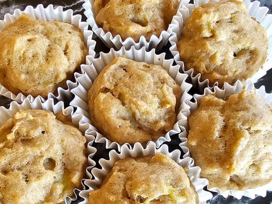 Easy Homemade Banana Dog Muffins