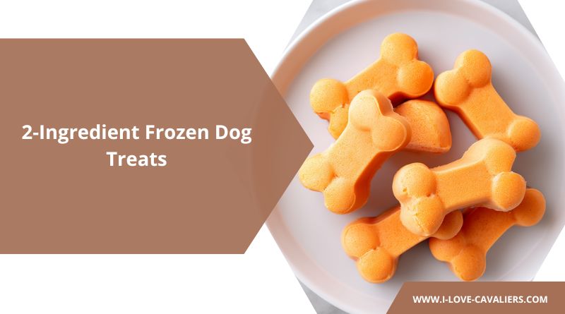 Easy Homemade 2-Ingredient Frozen Dog Treats