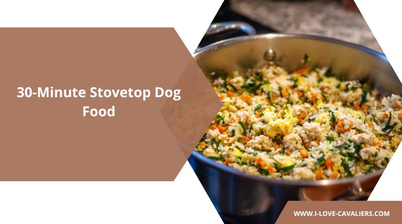 30-Minute Stovetop Dog Food (The Ultimate Weeknight Meal)