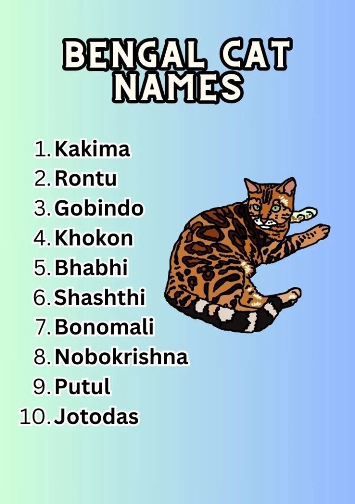 Bengal Cat Names