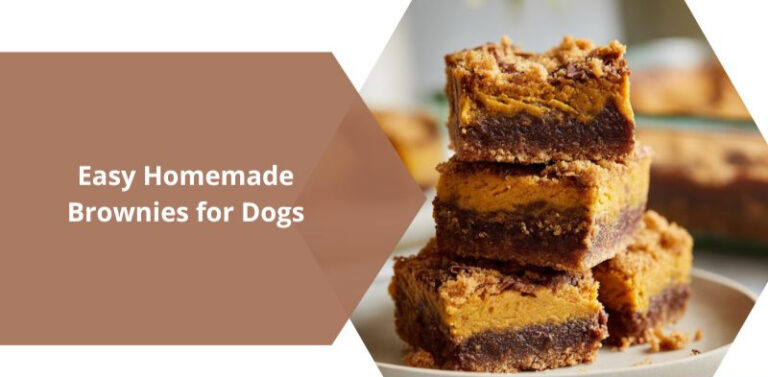 Easy Homemade Brownies for Dogs