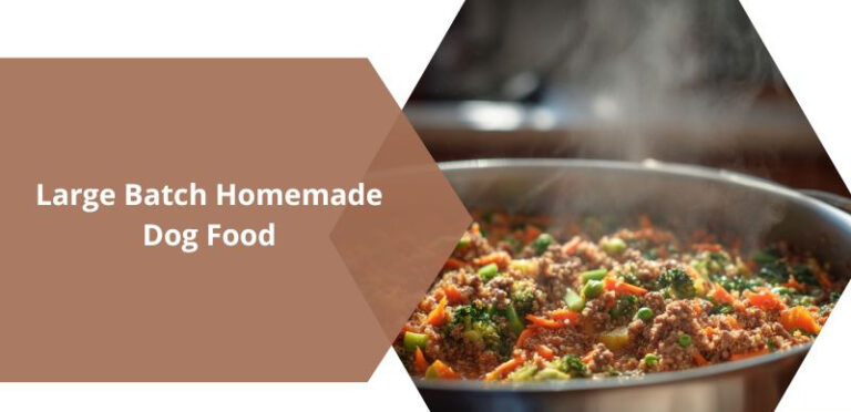 Large Batch Homemade Dog Food – Complete Nutrition Guide