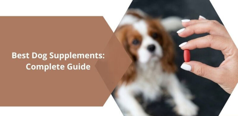 Best Dog Supplements: Complete Guide to Keeping Your Dog Healthy