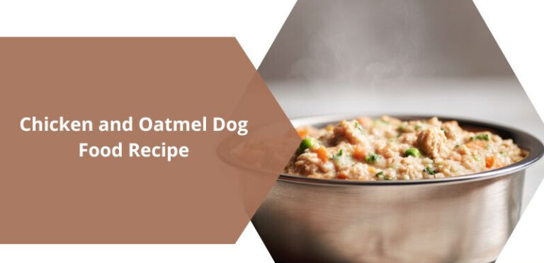 Homemade Chicken and Oatmeal Dog Food Recipe (Complete Nutrition in One Pot)