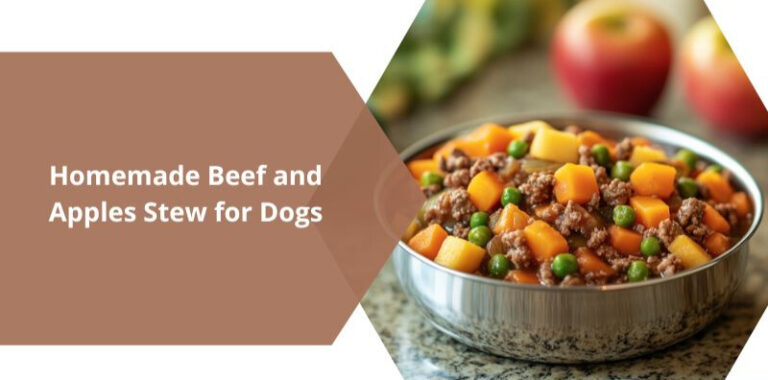 Beef and Apple Stew for Dogs: Wholesome Homemade Goodness