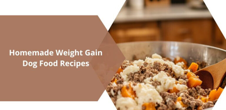 3 Simple Homemade Weight Gain Dog Food Recipes