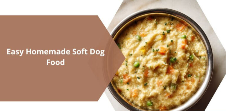 Easy Homemade Soft Dog Food Recipe