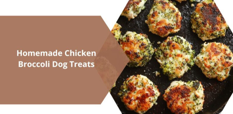 Homemade Chicken Broccoli Dog Treats Recipe