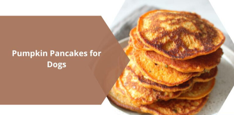 3-Ingredient Pumpkin Pancakes for Dogs: Easy & Nutritious Treats