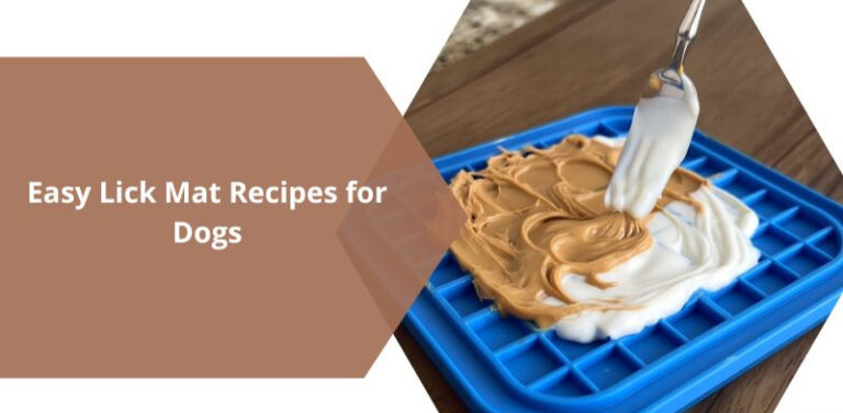 Lick Mat Ideas for Dogs: Enrichment, Calm, and Tasty Fun in One Simple Tool