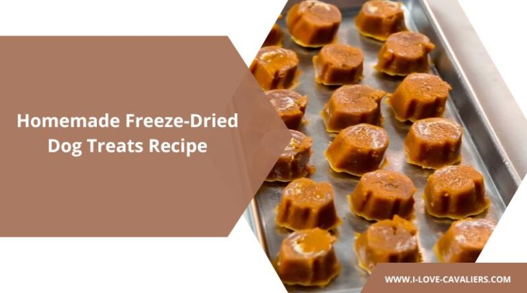 Freeze-Dried Dog Treats Recipe: Long-Lasting Nutrition Your Dog Craves