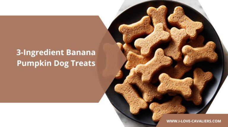Banana Pumpkin Baked Dog Treats