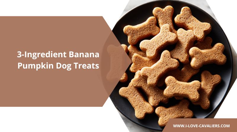 Banana Pumpkin Baked Dog Treats