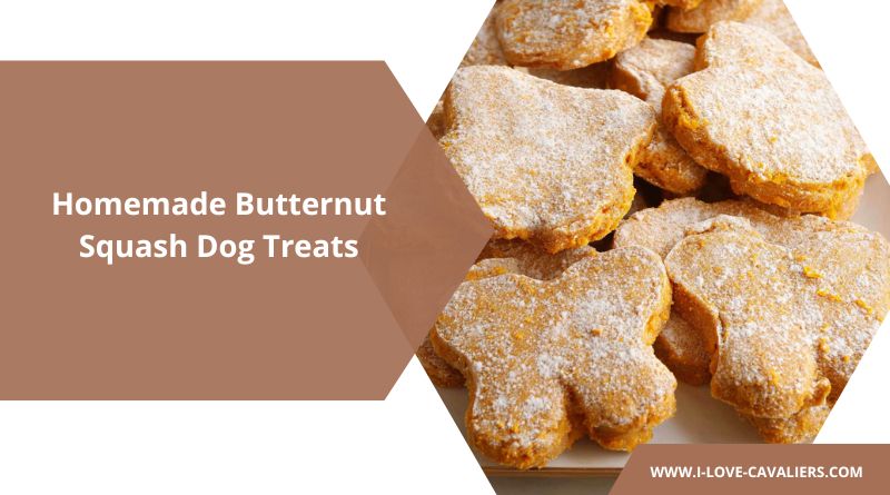 Butternut Squash Dog Treats (Fall-Inspired Bites Your Pup Will Adore)