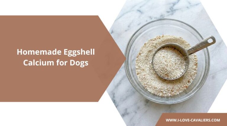 Homemade Eggshell Calcium