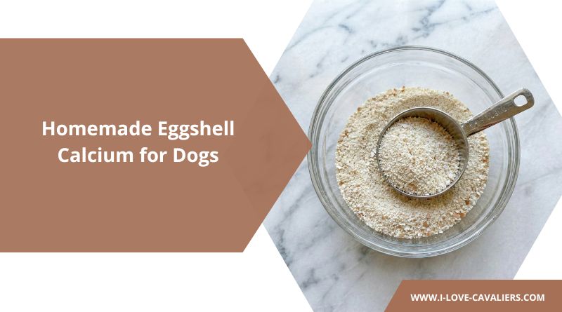 Homemade Eggshell Calcium