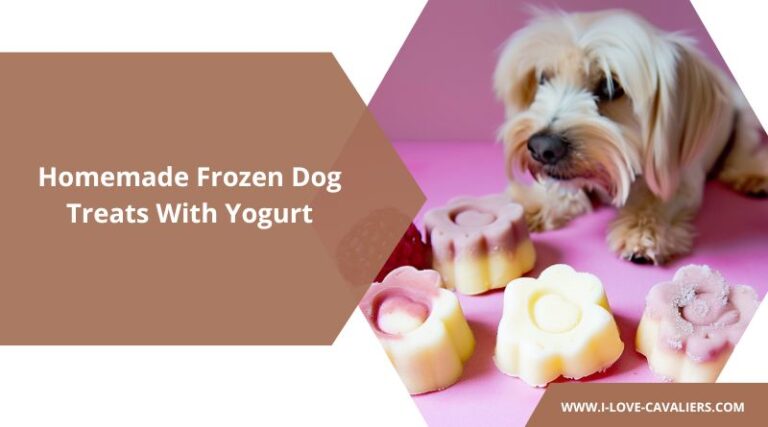 7 Easy and Delicious Homemade Frozen Dog Treats With Yogurt