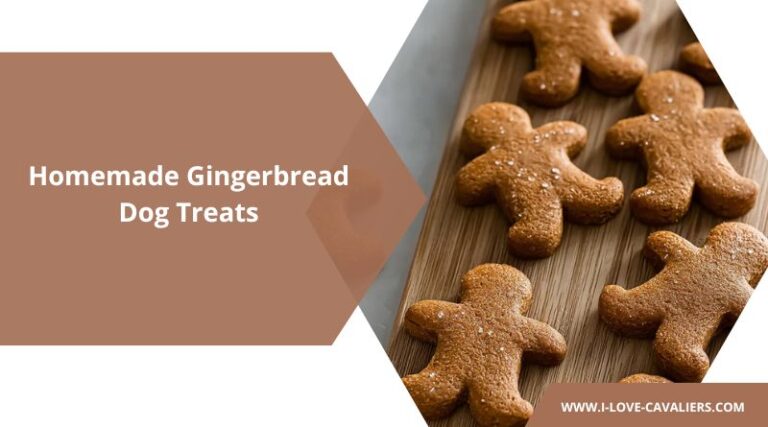 Gingerbread Dog Treats (Festive Holiday Cookies Your Pup Will Love)