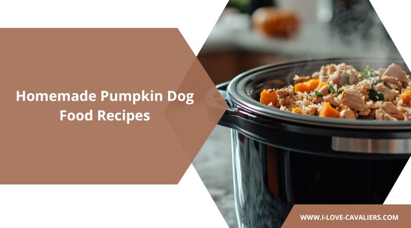 3 Homemade Pumpkin Dog Food Recipes