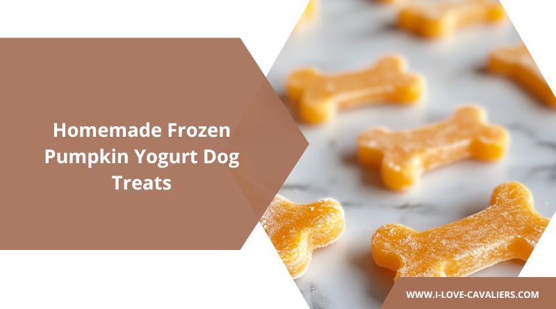 Homemade Frozen Pumpkin Yogurt Dog Treats