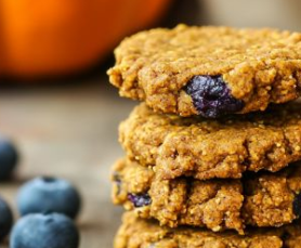 Homemade Blueberry Pumpkin Dog Treats