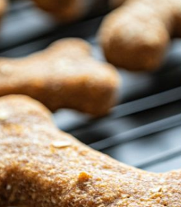 Homemade Sourdough Dog Treats: A Delightful Snack for Your Pup