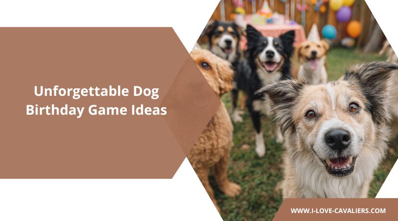 Dog Birthday Game Ideas