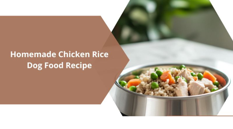 Homemade Chicken and Rice Dog Food Recipe