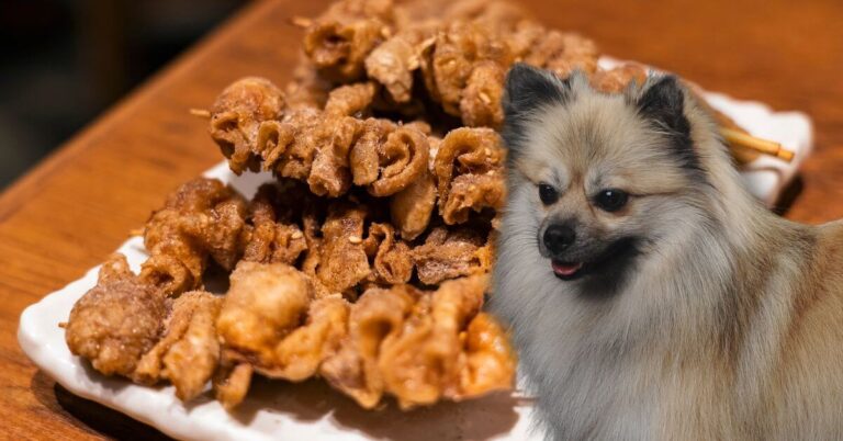 Can Dogs Eat Chicken Skin?