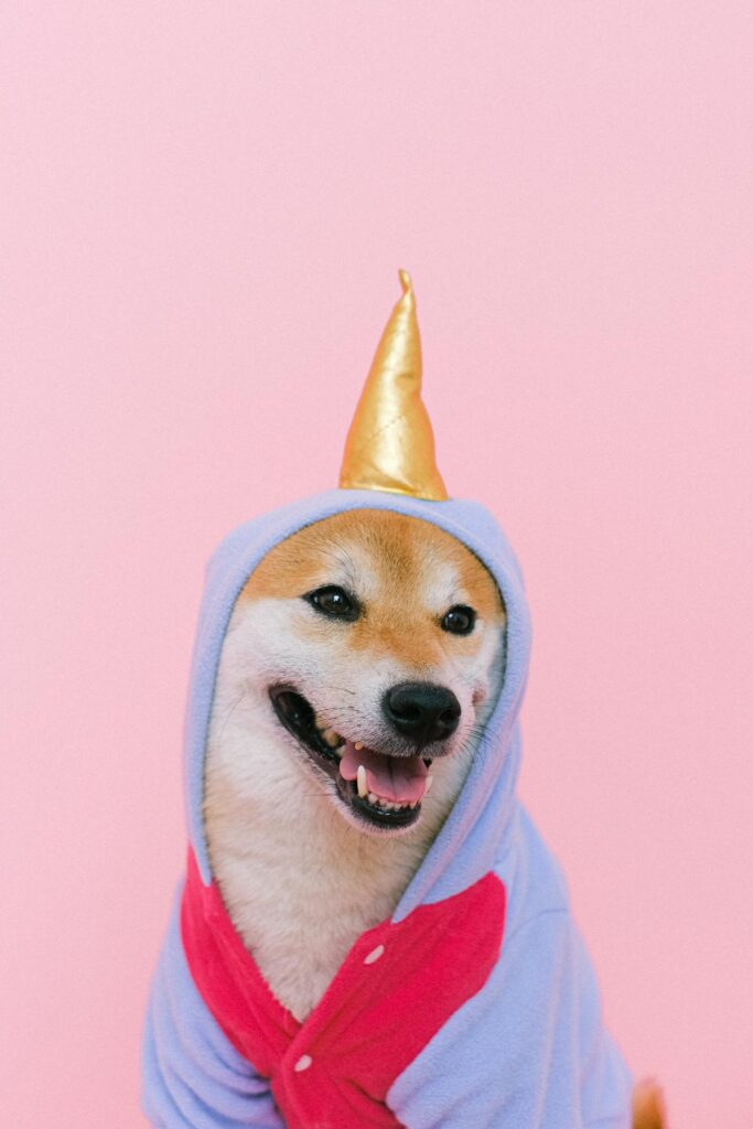 How To Throw THE BEST Dog Birthday Party