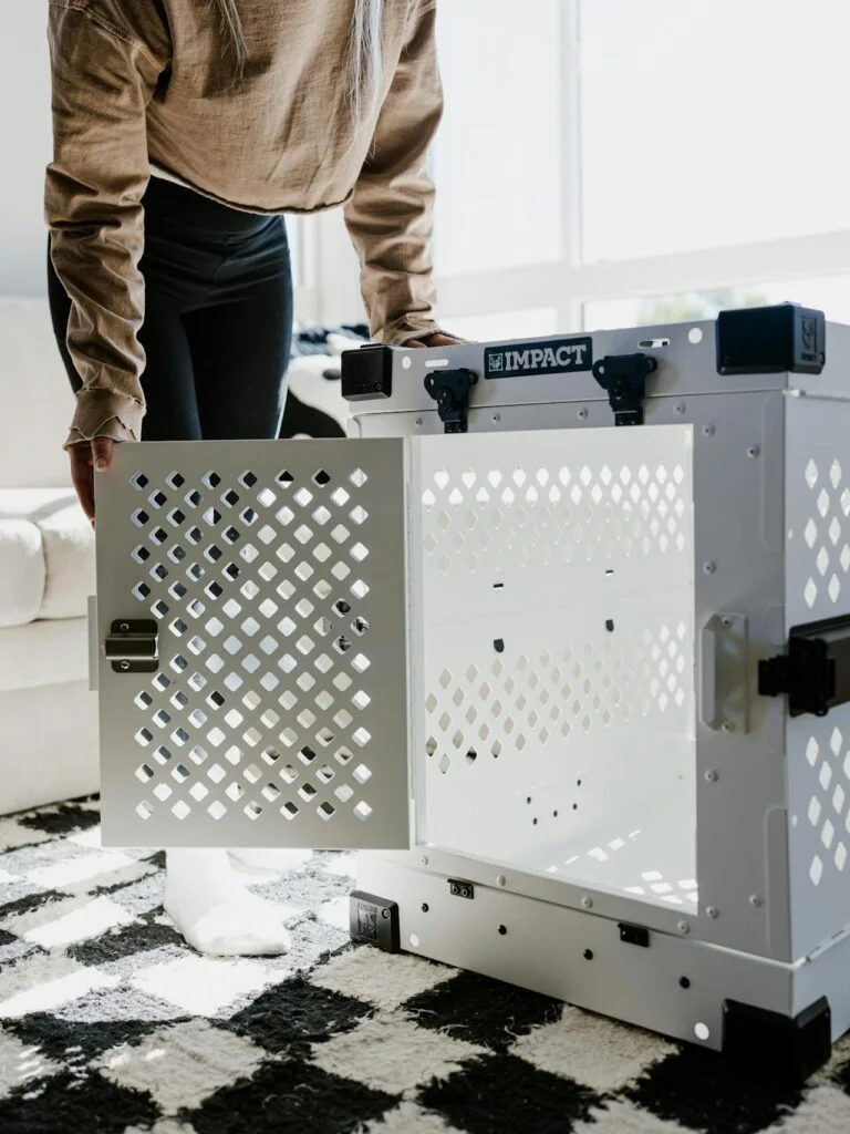 Dog Crate Training 101