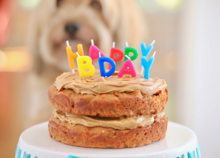 Dog First Birthday Party Ideas: The Ultimate Guide to Celebrating Your Pup’s Big Day