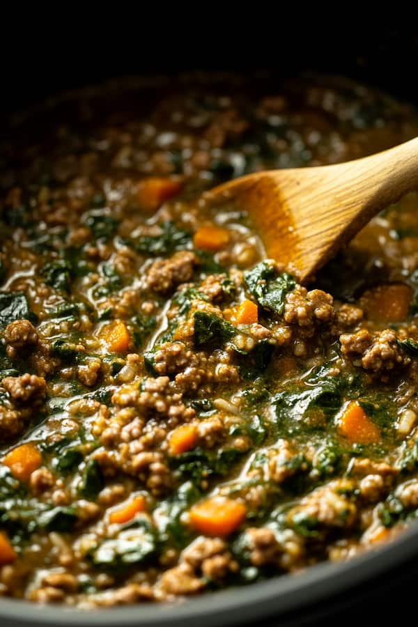 Homemade Beef and Rice Dog Food Recipe