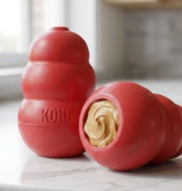 The Ultimate Guide to Frozen Kong Recipes For Dogs: Keeping Your Pet Busy (and Happy)