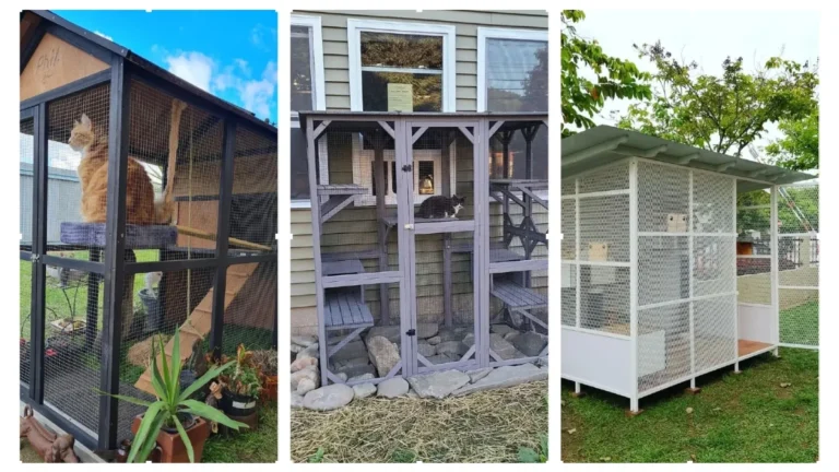 20 Cozy Outdoor Cat House Ideas