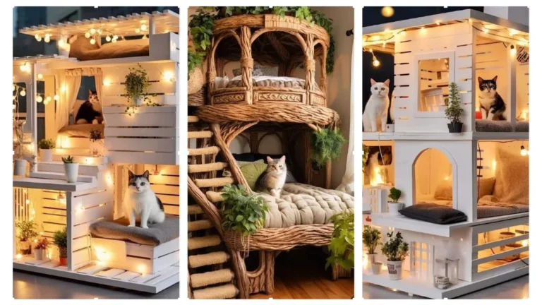20 Cozy Cat House Ideas for Small Spaces