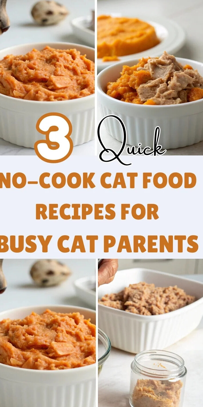 Quick No-Cook Cat Food Recipes